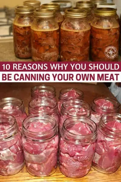 10 Reasons Why you Should be Canning Your Own Meat - This is a great article about preservation but not just rice and beans. Have you given any thought to preserving real meat? When you have meat on a shelf you have something that imparts massive levels of nutrients and has the ability to sustain you longer.