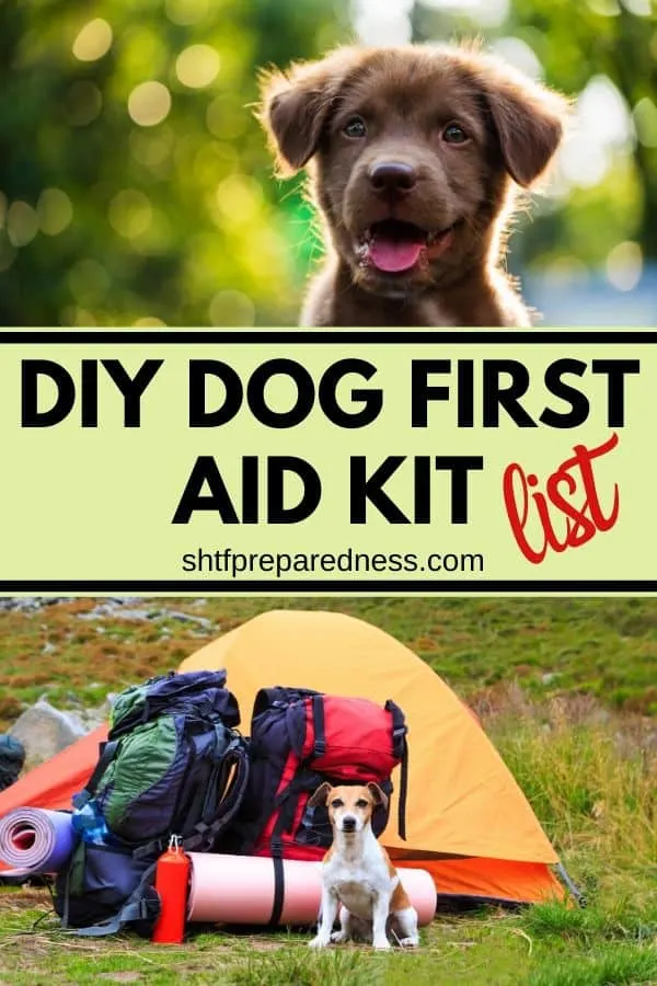 If you take your dog camping or hiking, you'll want to create a DIY dog first aid kit, just in case. #camping #campingwithpets #petemergencykit #pets #firstiadkit #diyfirstaidforpets #shtf #preparedness #survival