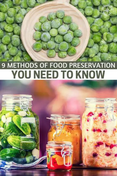 9 Methods of Food Preservation You Need to Know - This is a great little article about 9 methods for food preservation. These are all very important and you must take the time to get to know them. Don't lean on preservations you have never tried in times of crises.