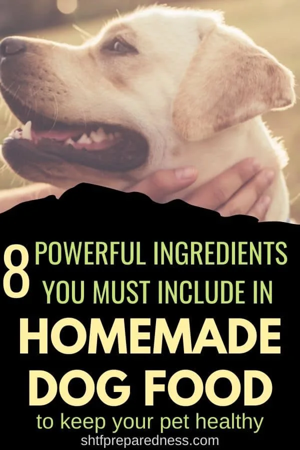 Do you love making homemade dog food? Here are 8 ingredients you must include to keep your dog healthy. #dogfood #homemade #homemadedogfood #healhtydogfood #ilovemydog