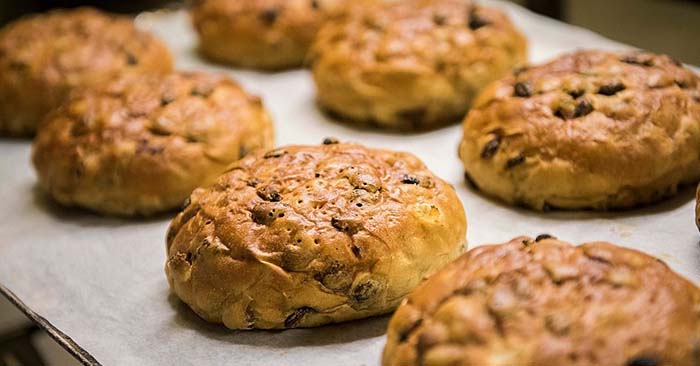 How to Make Bannock the Survival Food Rich in Vitamin C - This is an article about the survival food and nearly ancient bread called bannock. This is a food that is very simple to make and can last for a very long time. With the introduction of a few ingredients you can also make this long shelf life food work for things like Vitamin C.