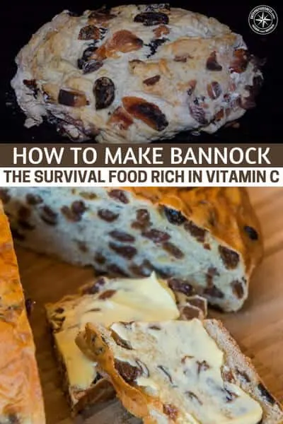 How to Make Bannock the Survival Food Rich in Vitamin C - This is an article about the survival food and nearly ancient bread called bannock. This is a food that is very simple to make and can last for a very long time. With the introduction of a few ingredients you can also make this long shelf life food work for things like Vitamin C.