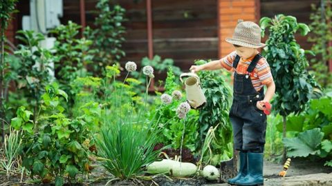 Starting a Gardening and Landscaping Business