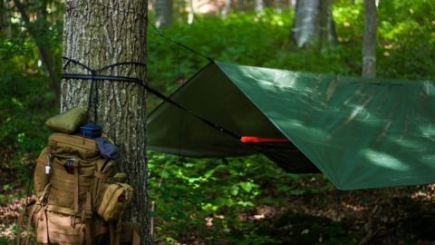Must Have Gear for Successful Wilderness Survival