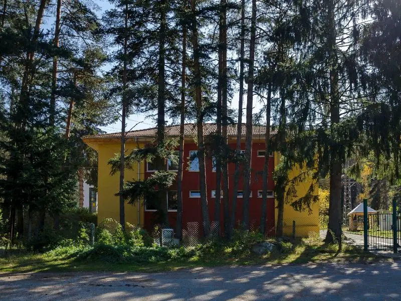 House surrouned by trees