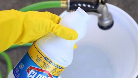 Disinfectant Bleach-Water Ratio