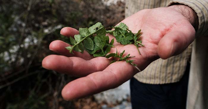 DIY Buckskin Foraging Bag - Do you know how to work with deerskin to create things like shoes or clothing. Deer skin has been used as clothing for a very long time. This means it will be effective in an emergency as well!