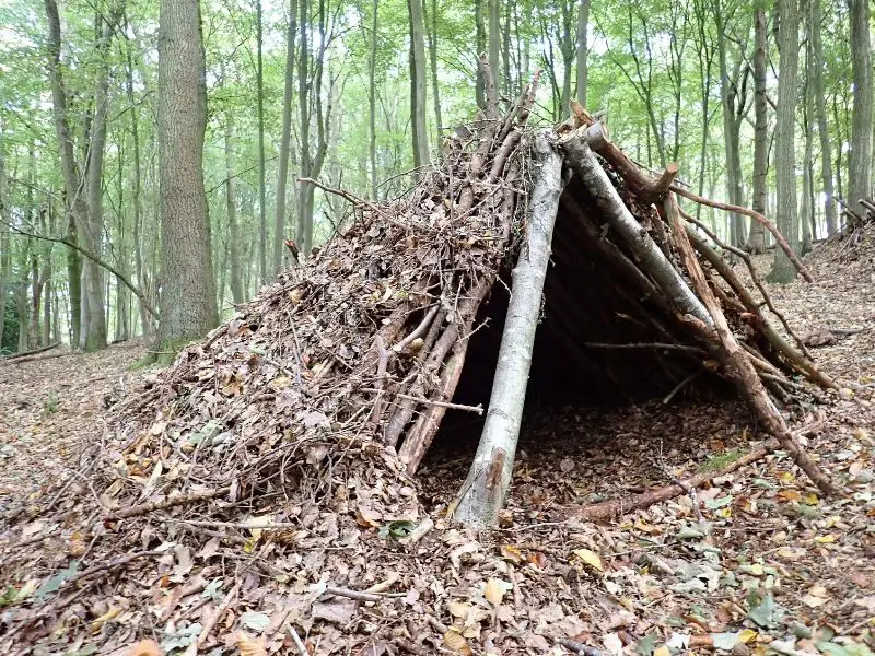 Shelter in the woods