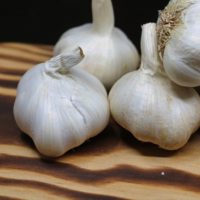 When and How to Grow Garlic - This article is all about when and how to grow garlic in your own garden. Supermarket garden comes down to sourcing. Where is that supermarket garlic coming from. Some of it comes from China.