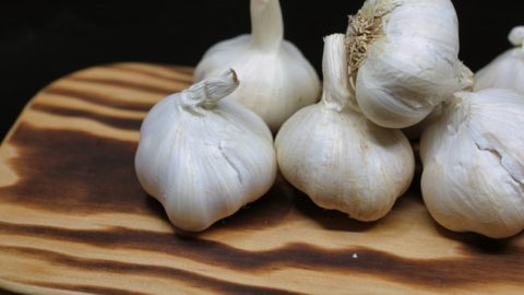 When and How to Grow Garlic