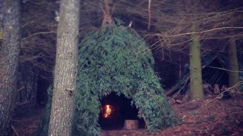How to Build A Wickiup