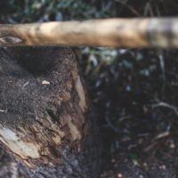 The Short Axe in Survival - The axe can be the difference between firewood and freezing. It can be a great tool for self-defense and was used to protect families and villages for a long time.