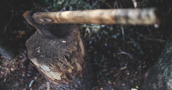 The Short Axe in Survival - The axe can be the difference between firewood and freezing. It can be a great tool for self-defense and was used to protect families and villages for a long time.