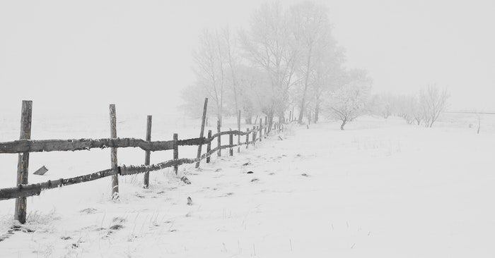 It has been a cold start to the 2018 winter season! We are seeing all sorts of radical stuff from snow to bitter cold.