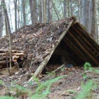 Have you ever built a primitive shelter? There are many ways to build an emergency wilderness shelter.