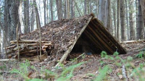 The Best Materials for Roofing Wilderness Shelters