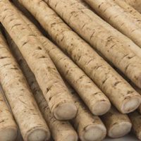 The world of wild medicine is a big one and you are going to learn about all sorts of plants and trees that can heal you.