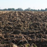 While it's not growing time yet, its most certainly planning time. One of the best things to improve before the growing season is your soil.