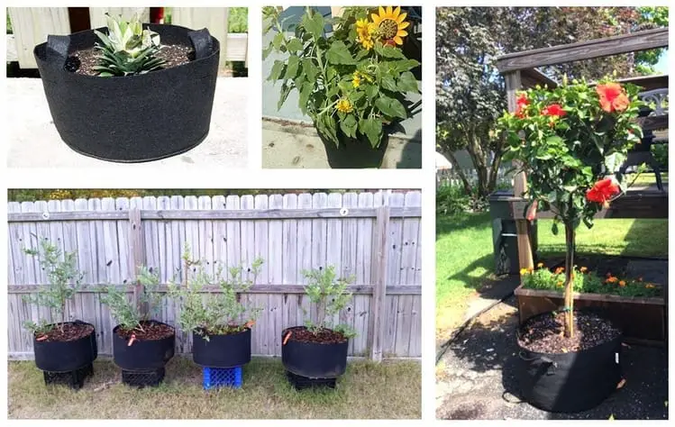 Gardening in grow bags offers up several options to the gardener who requires mobility or is concerned about losing their food to theft in a collapse.