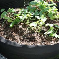 There seems to be an endless list of gardening methods out there. It can be a little dizzying when you really get into it.
