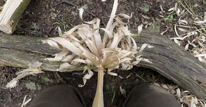 First and foremost what is a feather stick? For those who know this might seem like a silly questions but lets assume many of our readers don't know.