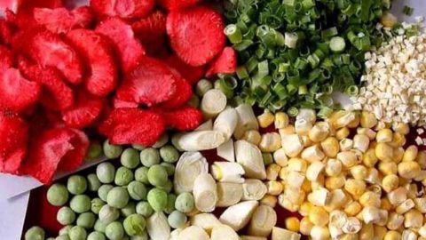 Pros and Cons of a Home Freeze Dryer