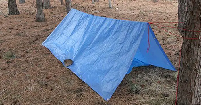 quick tarp shelter