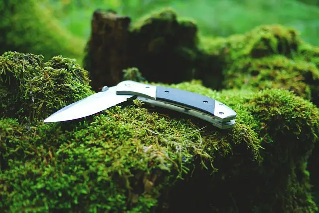 The EDC knife has become a popular piece of prepper equipment. A razor-sharp blade, or two, can serve many purposes in your daily life. From opening boxes to dealing with a brush or other small impediments, a sharp knife can do things that other tools cannot. 