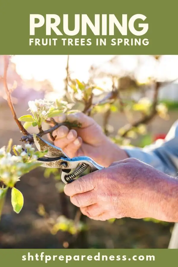 If you are looking to transform your land into a food sanctuary, you are going to need to make some changes in your current situation.