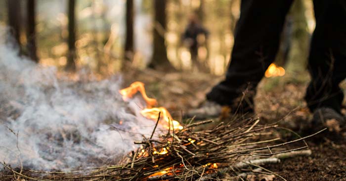 Have you been thinking about taking your bushcraft and survival training to the next level?