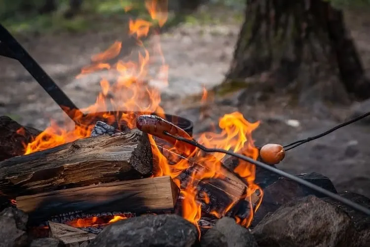 Hot dogs and sausages are the ultimate make ahead camping meal as they are so portable!