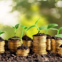 Coins and young plants - a concept of self sufficient living