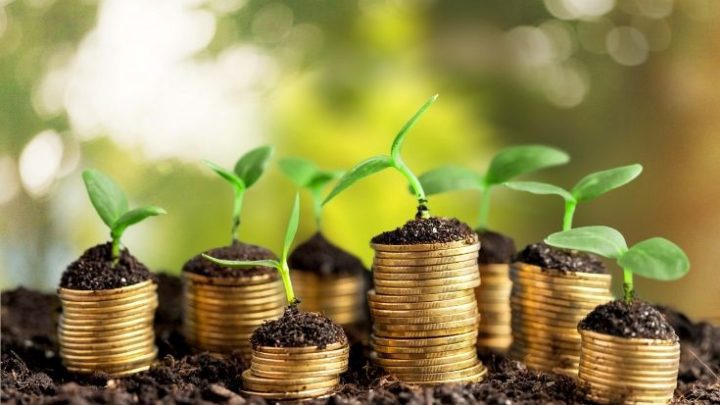 Self Sufficient Living Tips