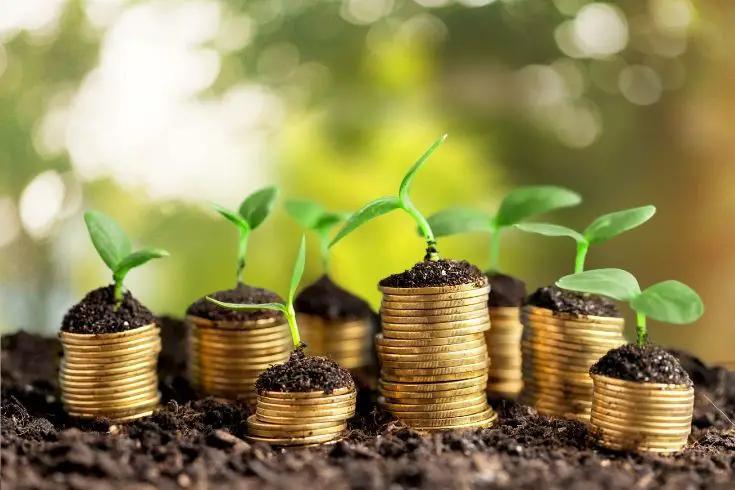 Coins and young plants - a concept of self sufficient living