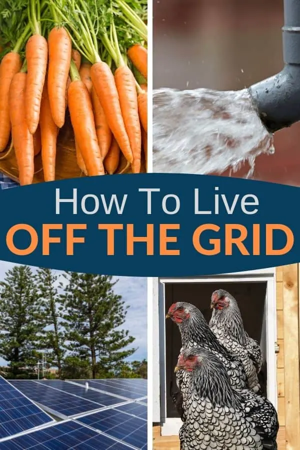 Want to learn how to live off the grid? Here are the basics for off the grid living: food, electricity, first aid, and more. Take a look. #offthegrid #livingoffthegrid #sustainability #survival #preparedness #shtf 