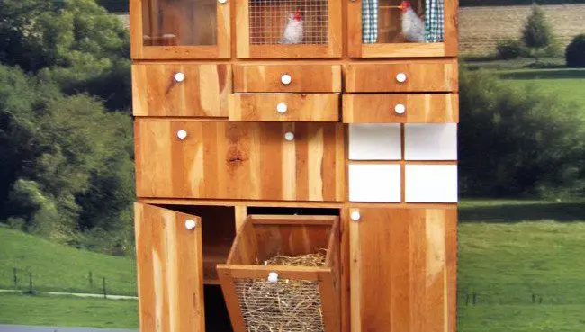 Chicken Cabinet Coop Ton Matton 2