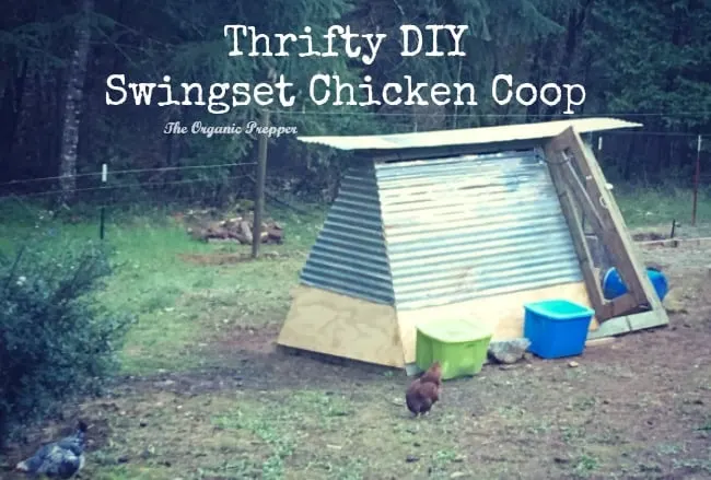 Thrifty DIY Swingset Chicken Coop