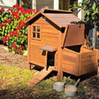 DIY chicken coop