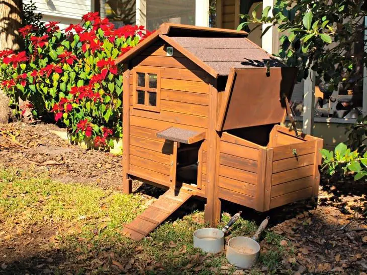 DIY chicken coop