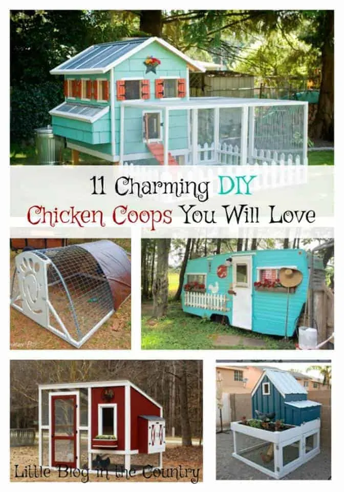 diy chicken coops you will love