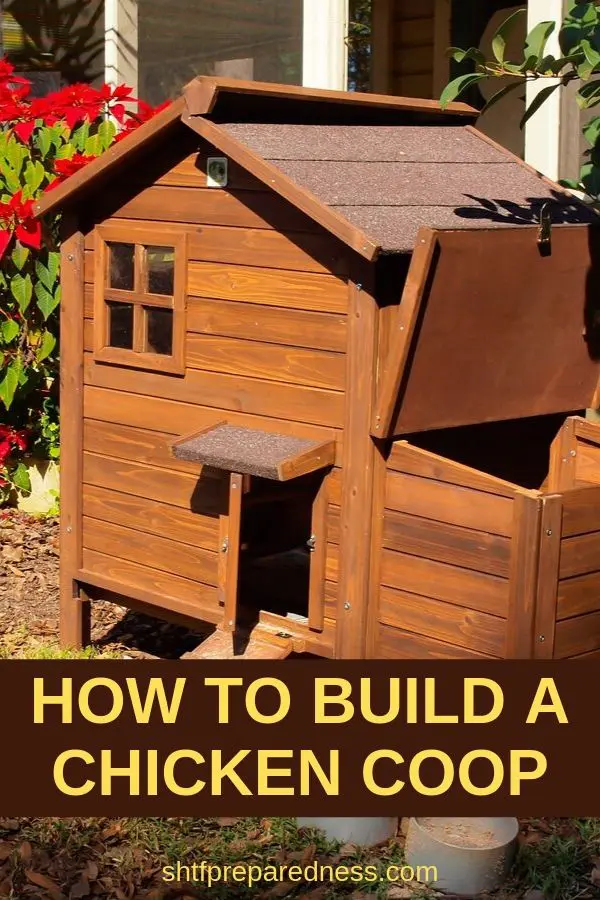 How to build a chicken coop to protect your flock. #chicken #homesteading #chickencoop #raisingchicken #survival #preparedness #shtf