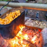 Kettle full of mushrooms cooking on a campfire