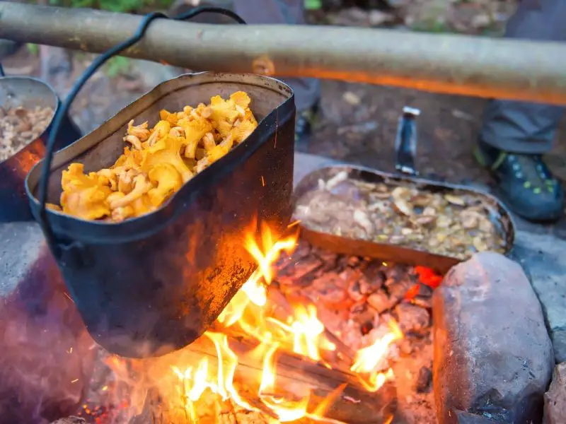 Kettle full of mushrooms cooking on a campfire