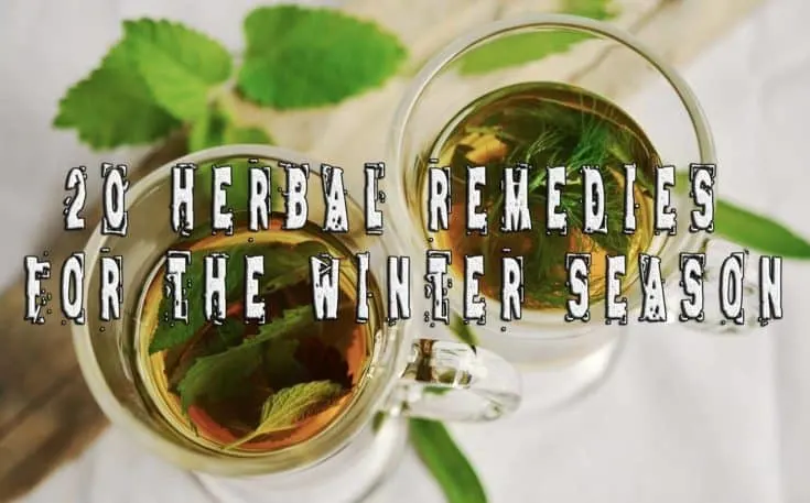 20 Herbal Remedies for the Winter Season