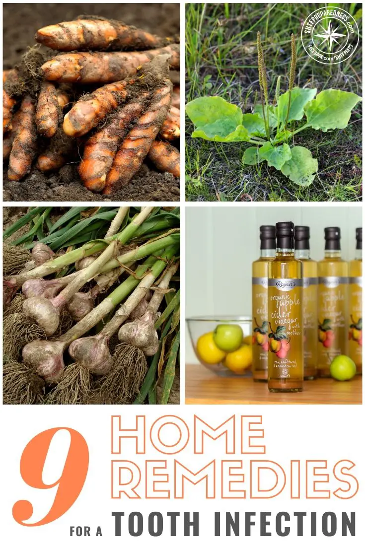 Home remedies for a tooth infection may not work as immediately as a dose of antibiotics and a root canal but they do provide a means of treatment when there are no other options.