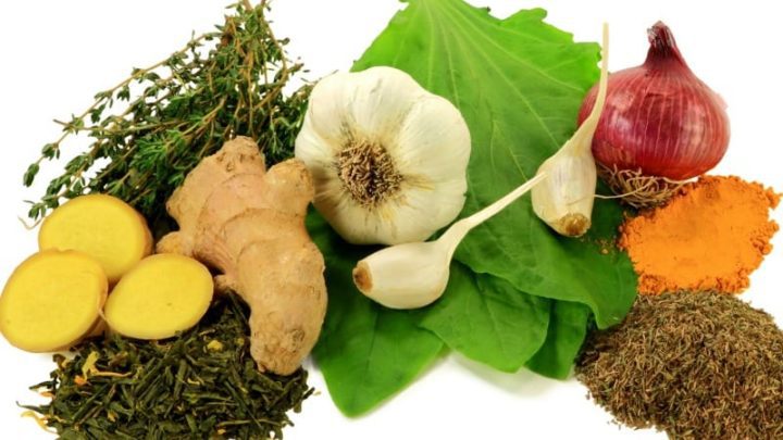 all natural antibiotics