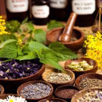 Medicinal herbs