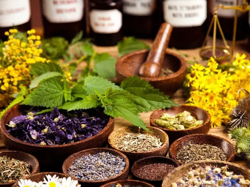 Medicinal herbs