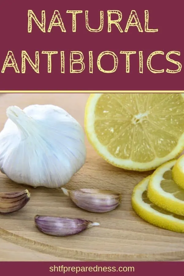 Learn about using natural antibiotics instead of running to the pharmacy and the doctor right away. Use these effective and powerful natural remedies. #naturalantibiotics #naturalremedies #shtf #preparedness #survival #homesteading #natural