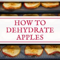 How to dehydrate apples